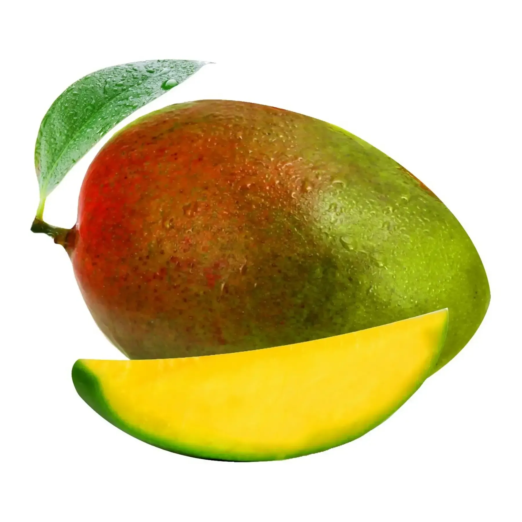 Mangue