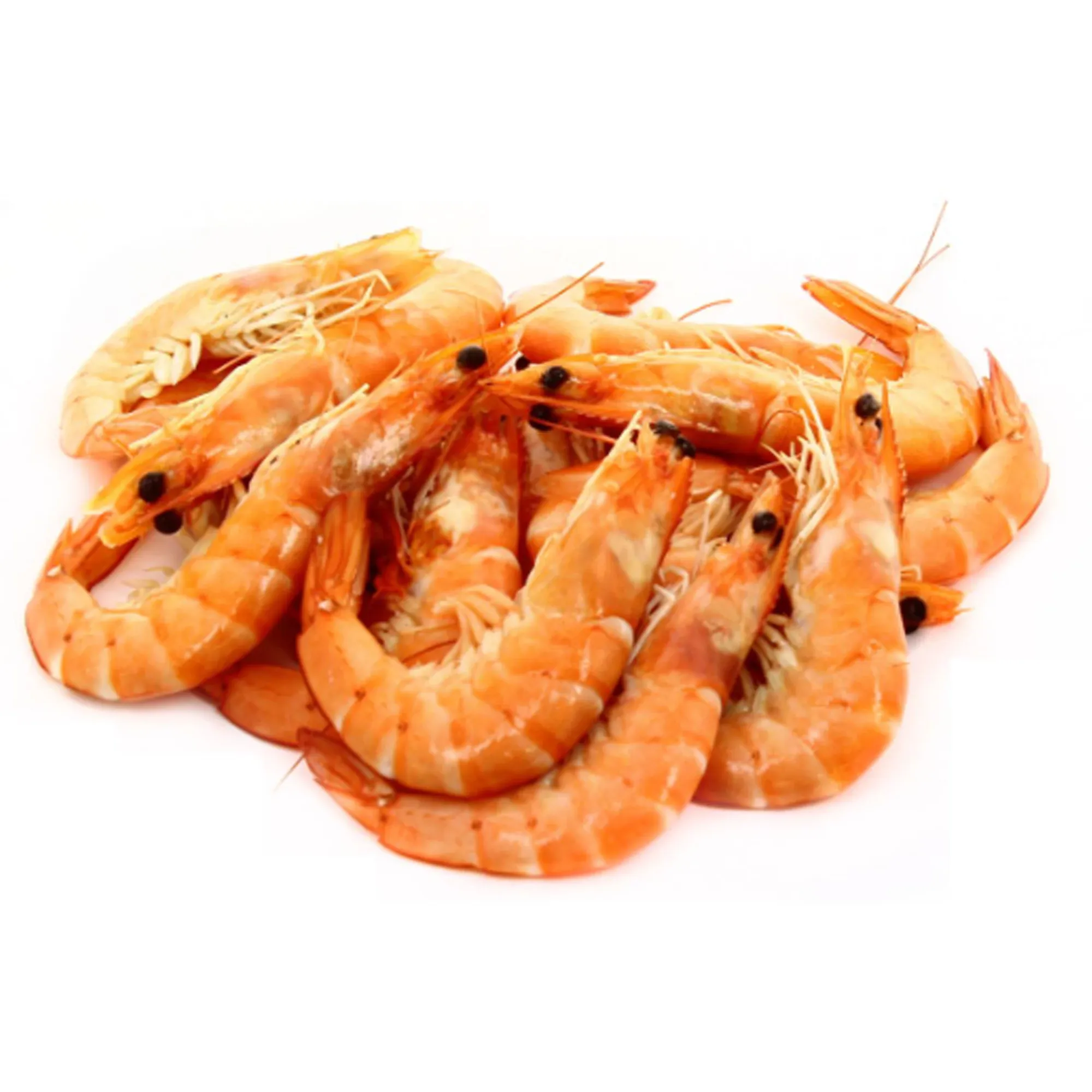 Crevettes rouge