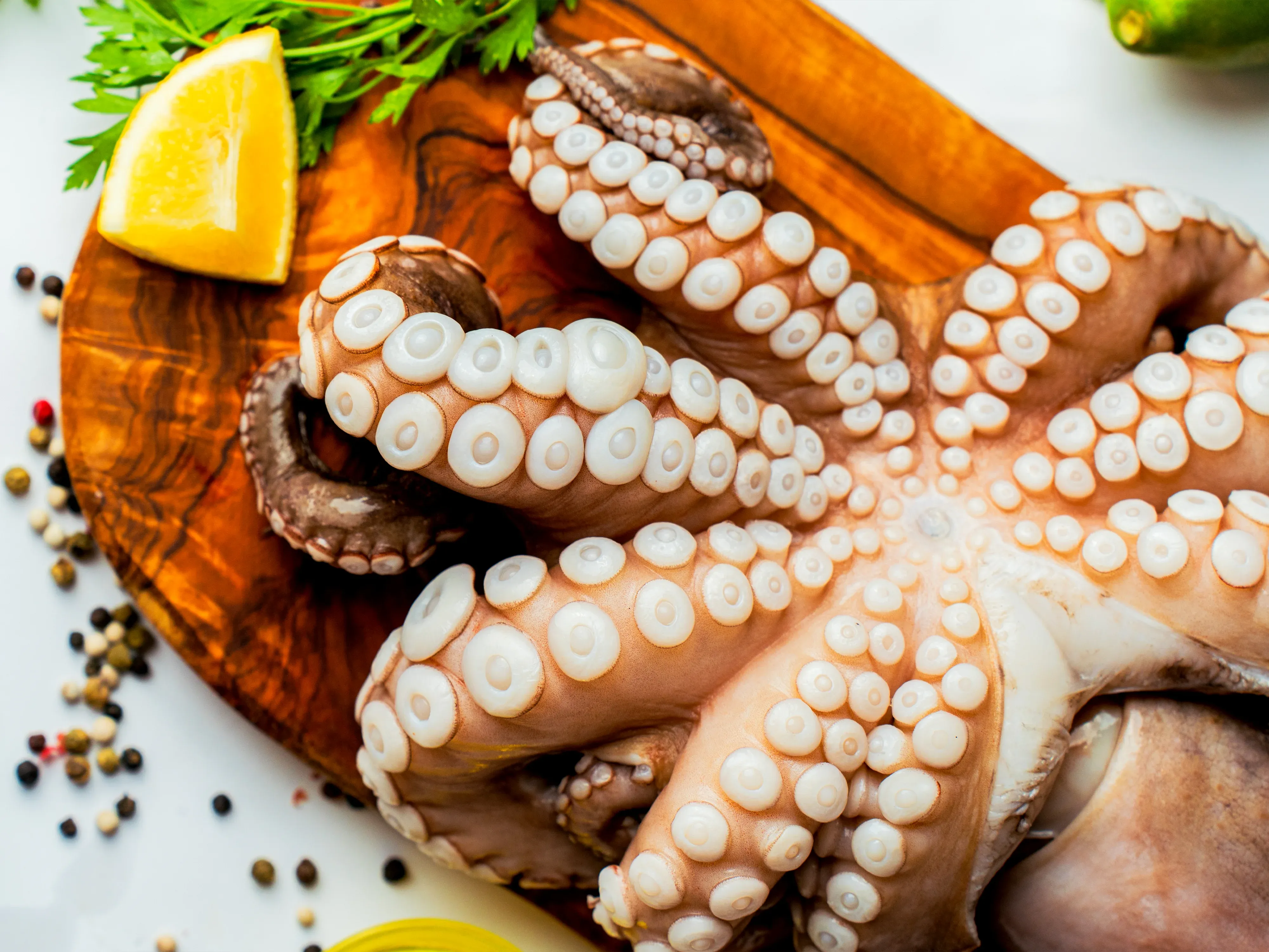 Poulpe entier congelé