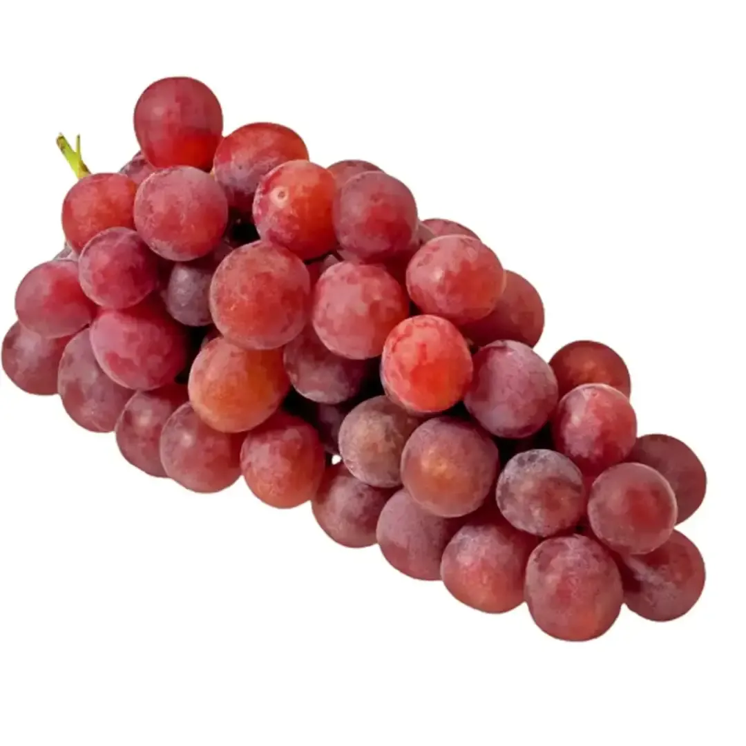 Raisin red globe