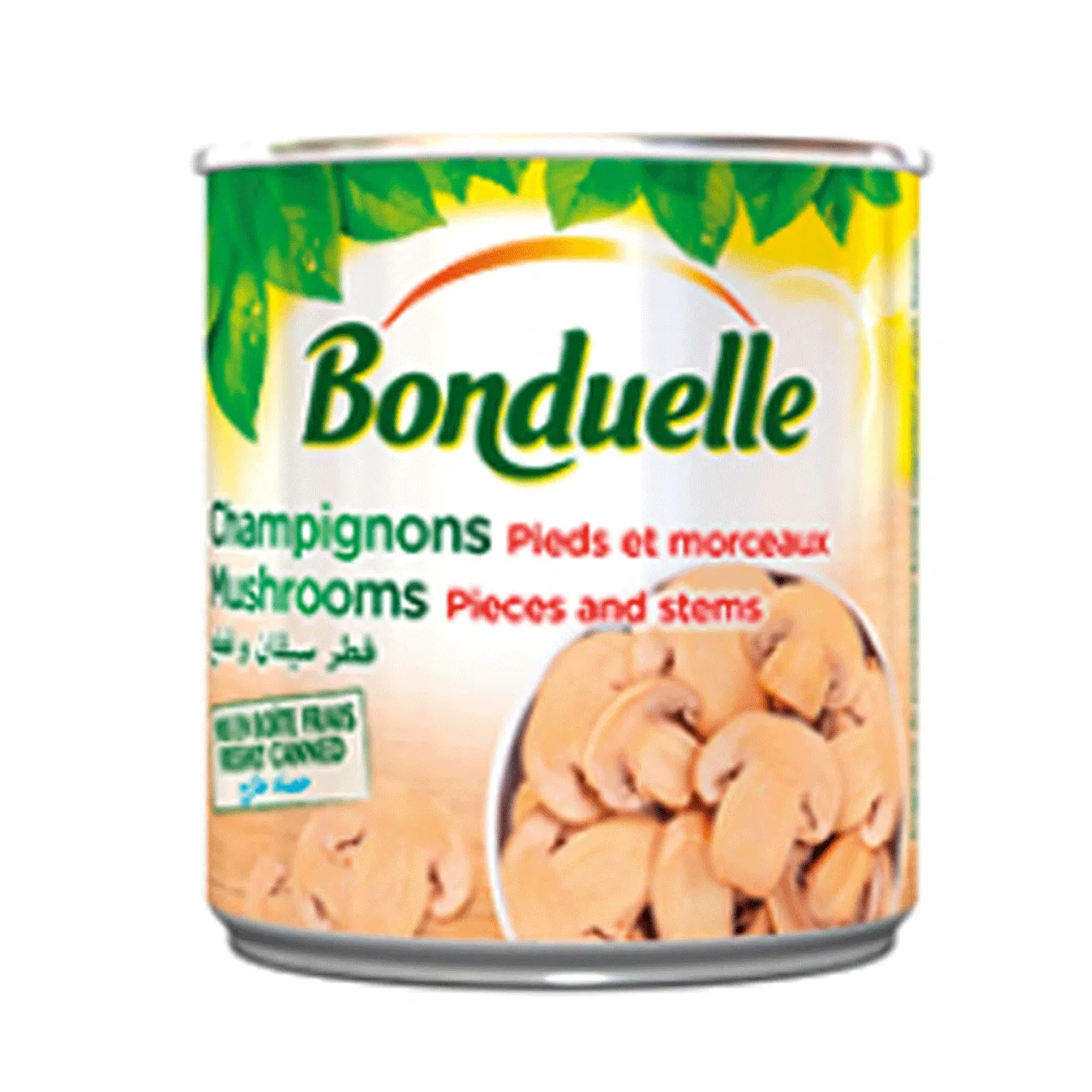 Champignon pied et morceaux