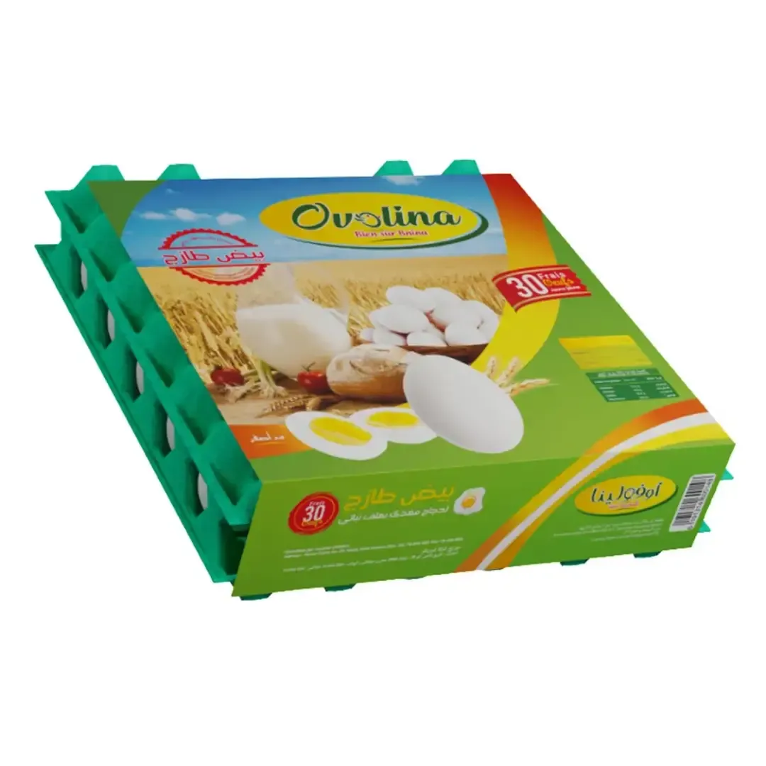 Œufs frais jaune jaune ovolina