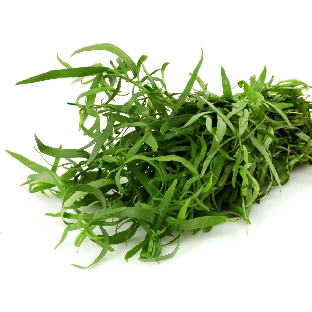 Estragon frais en barquette