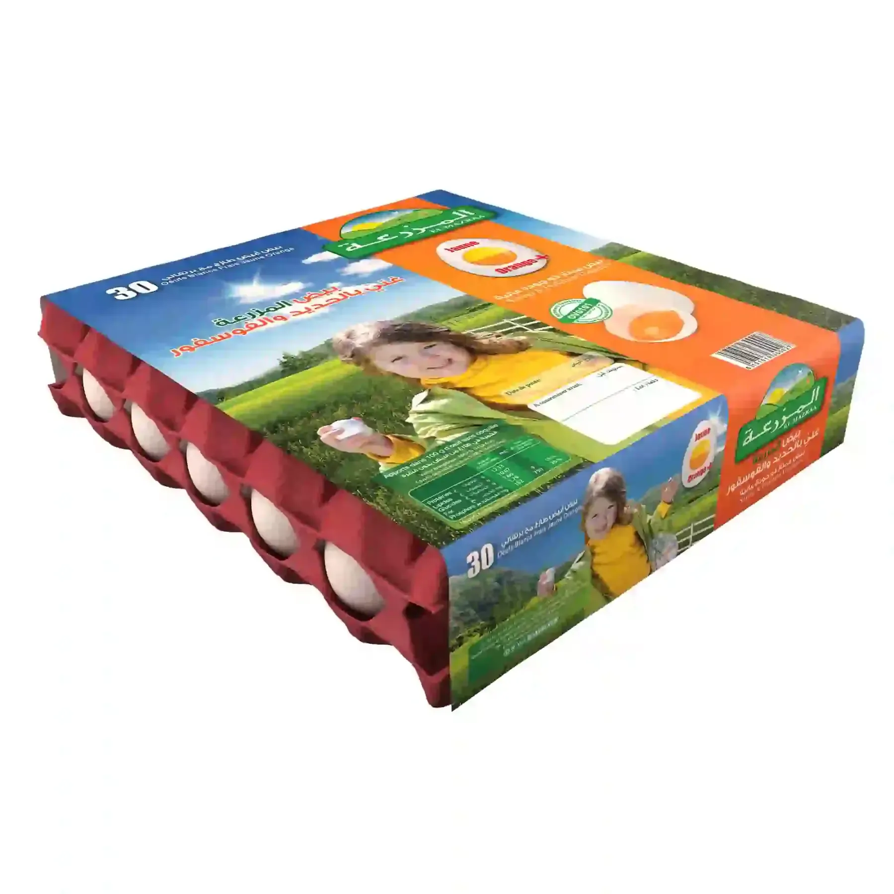 Œufs frais jaune orange+