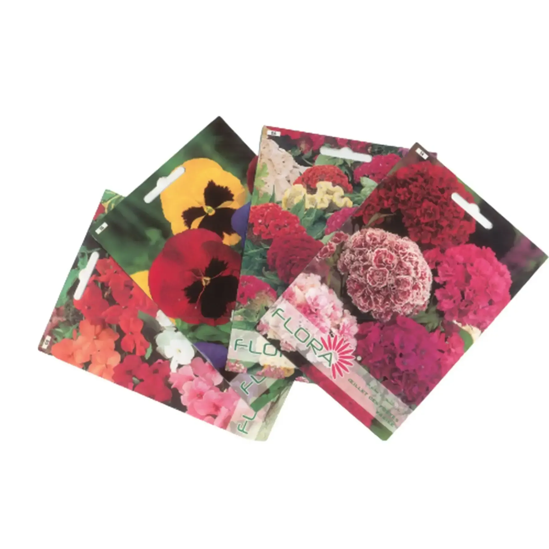 Lot de 4 sachets de semences de fleurs