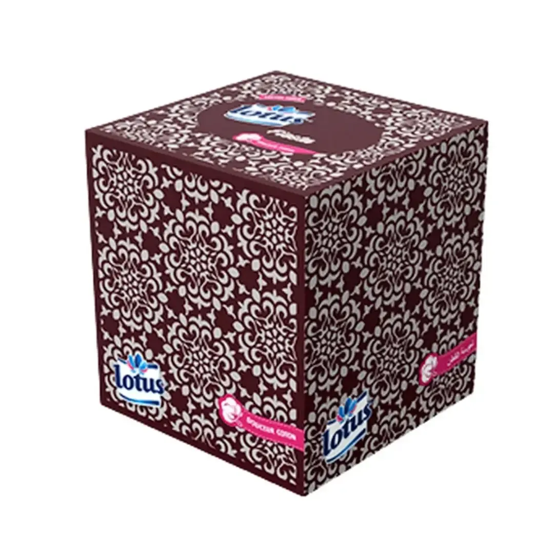 Distributeur papier cubique Fiesta 2 plis
