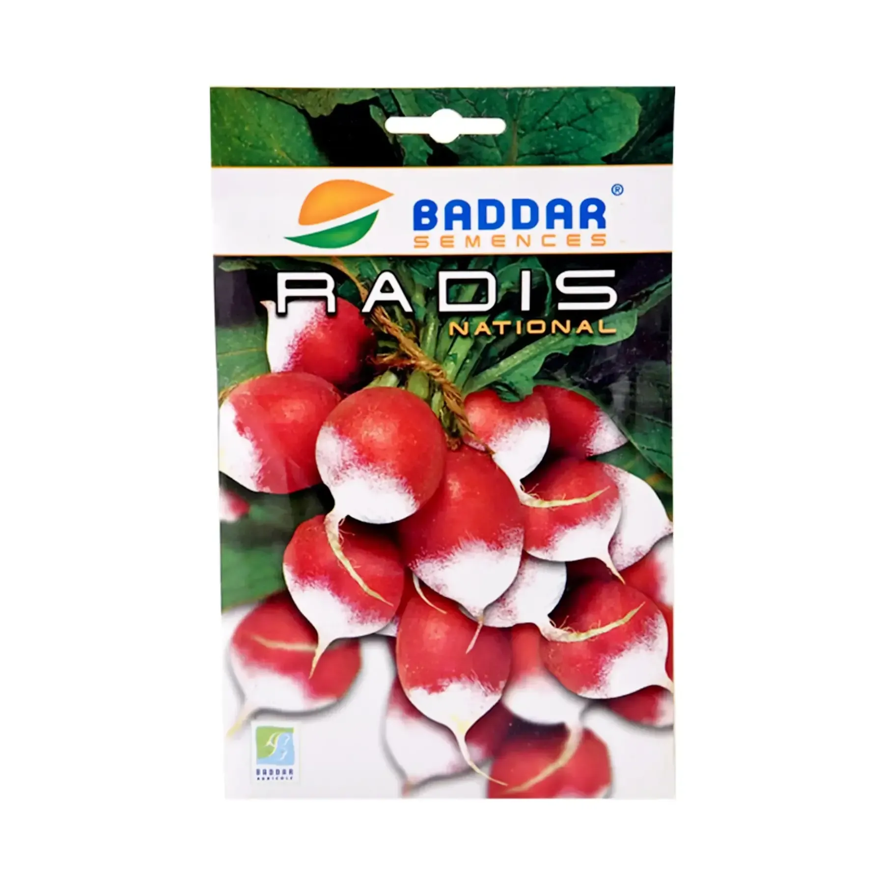 Semence de radis national