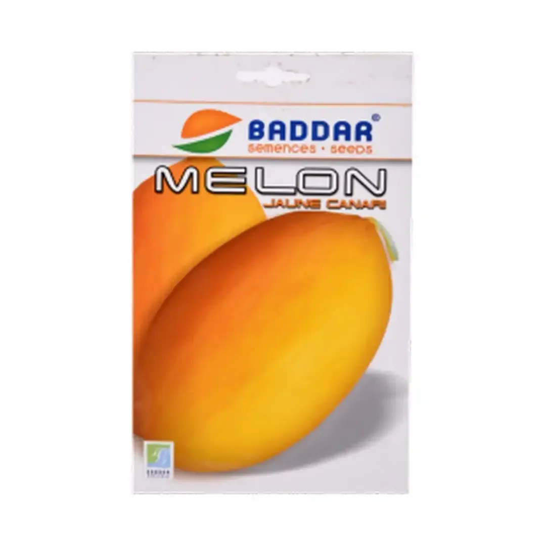 Semence de melon jaune