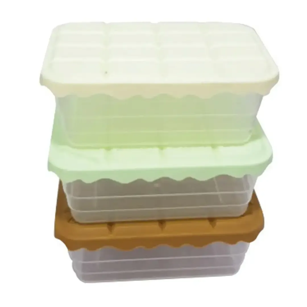 Lot de 3 boites de Conservation