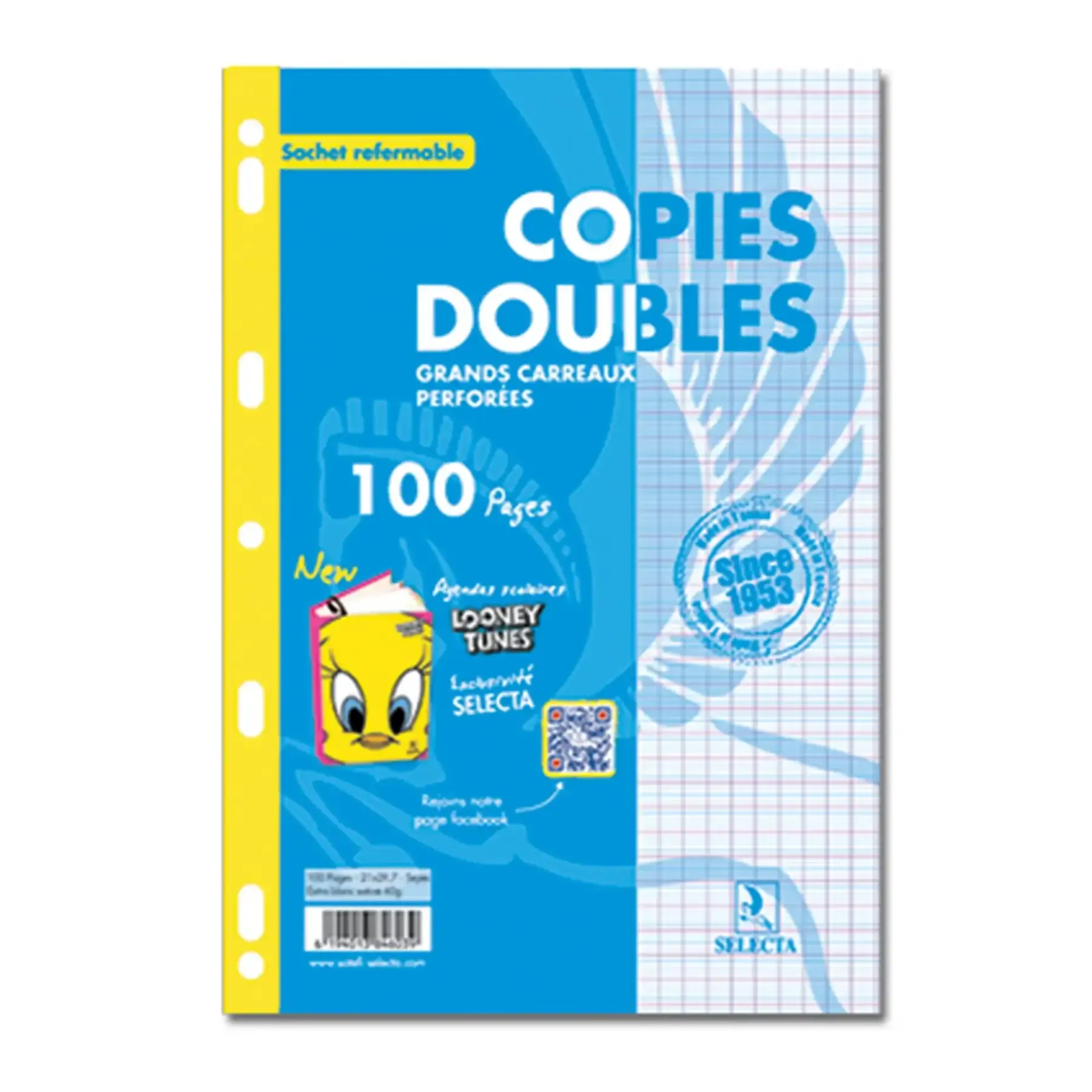 Double feuille 100 pages