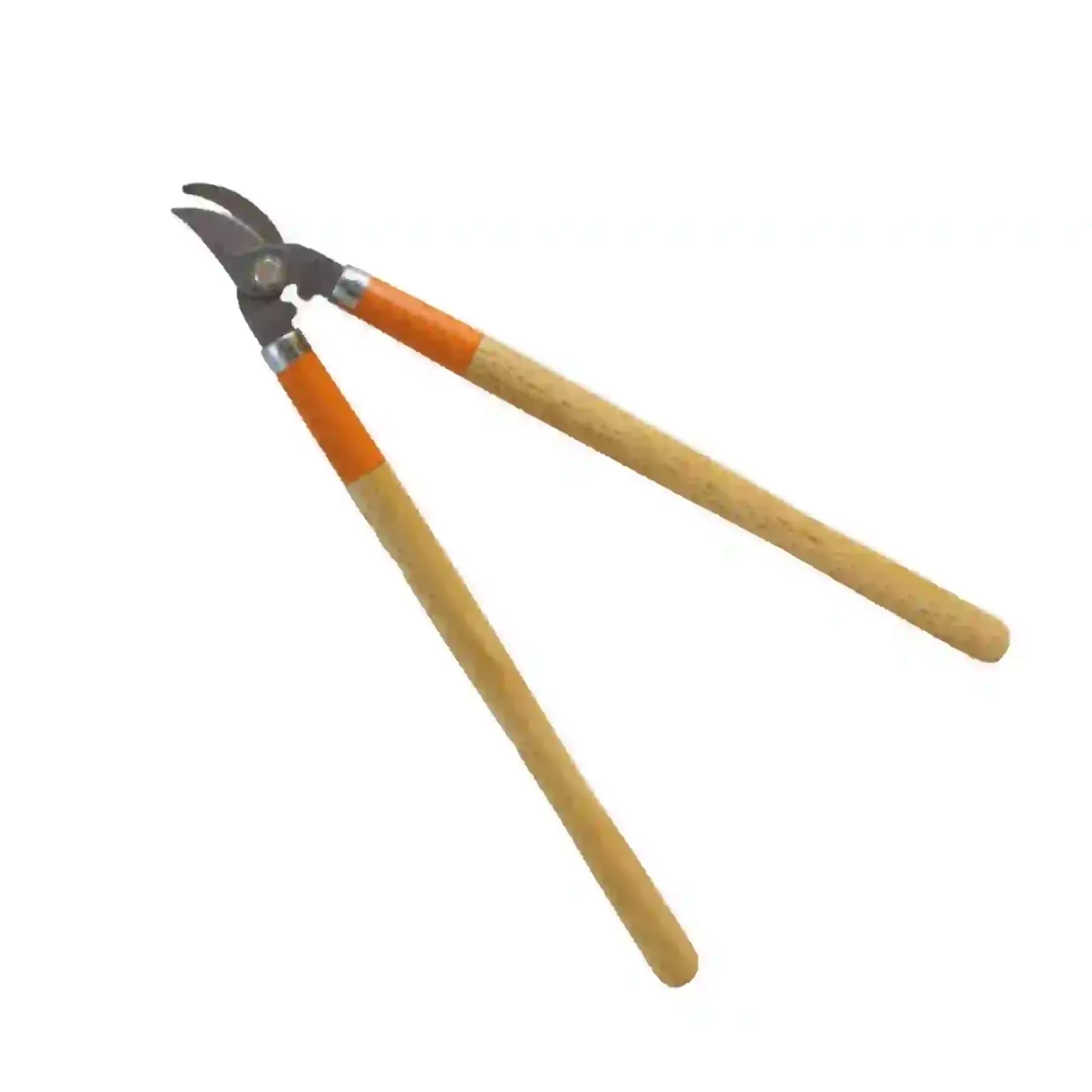 Coupe branches avec manche bois