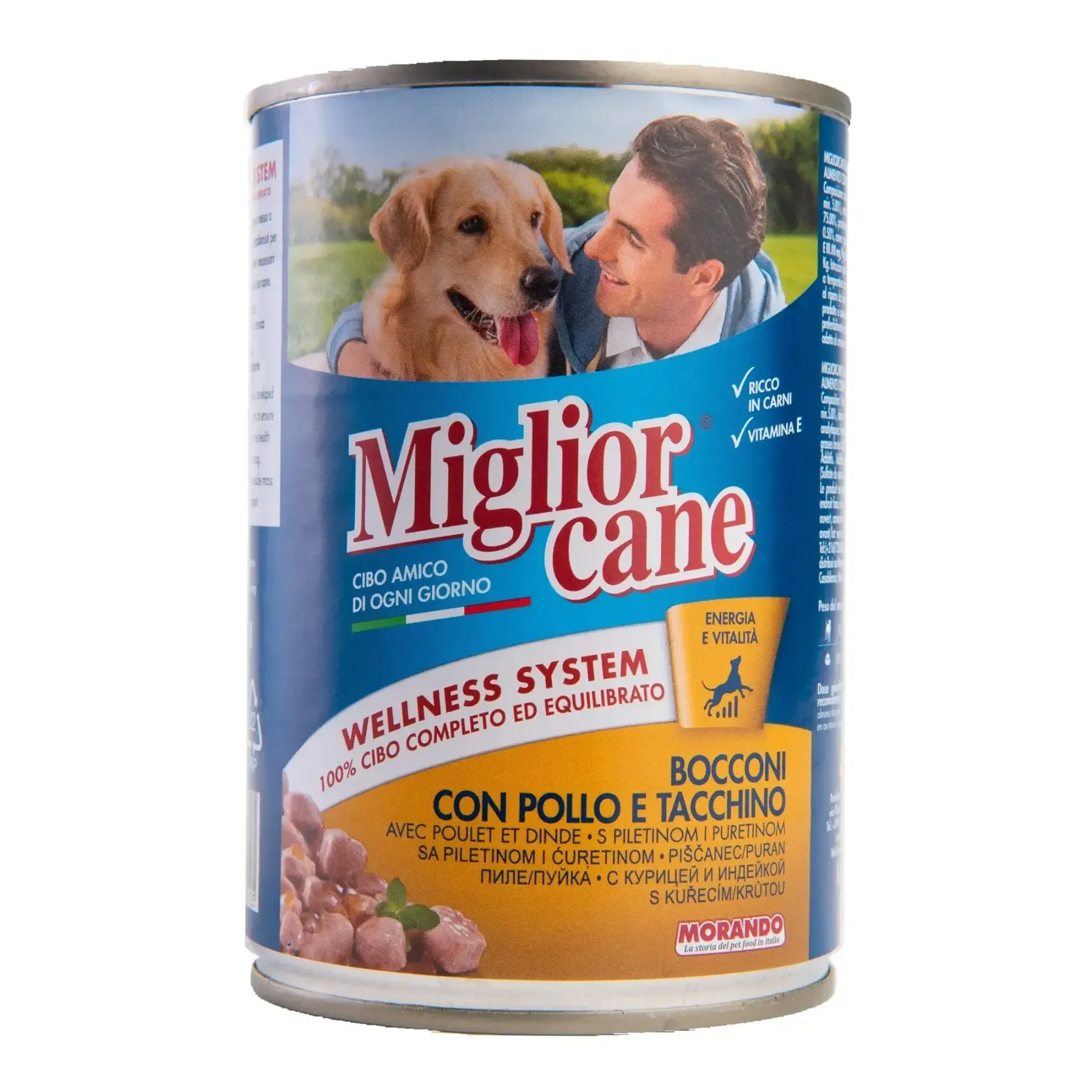 Terrine de dinde et poulet