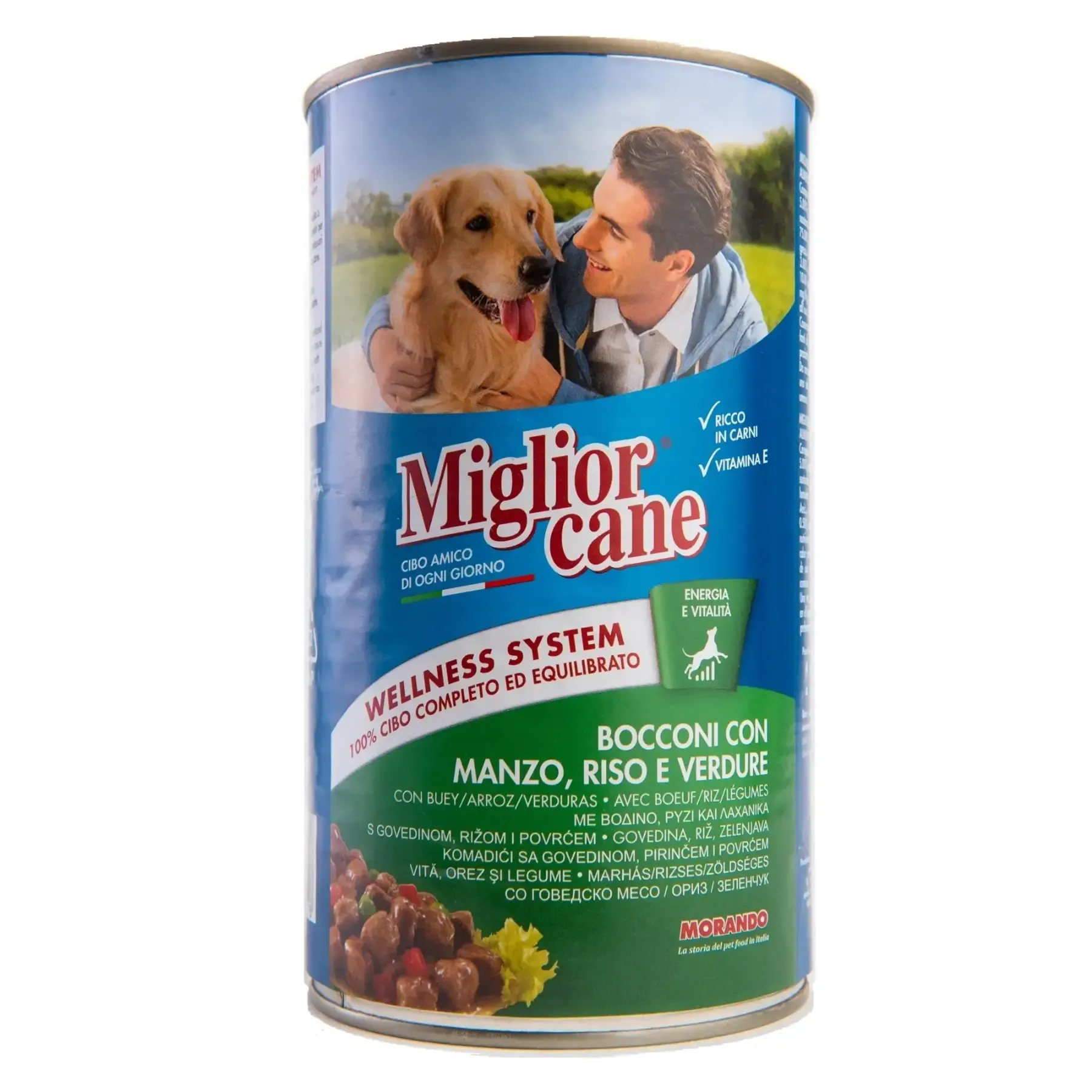 Bocconi au bœuf, riz et légumes