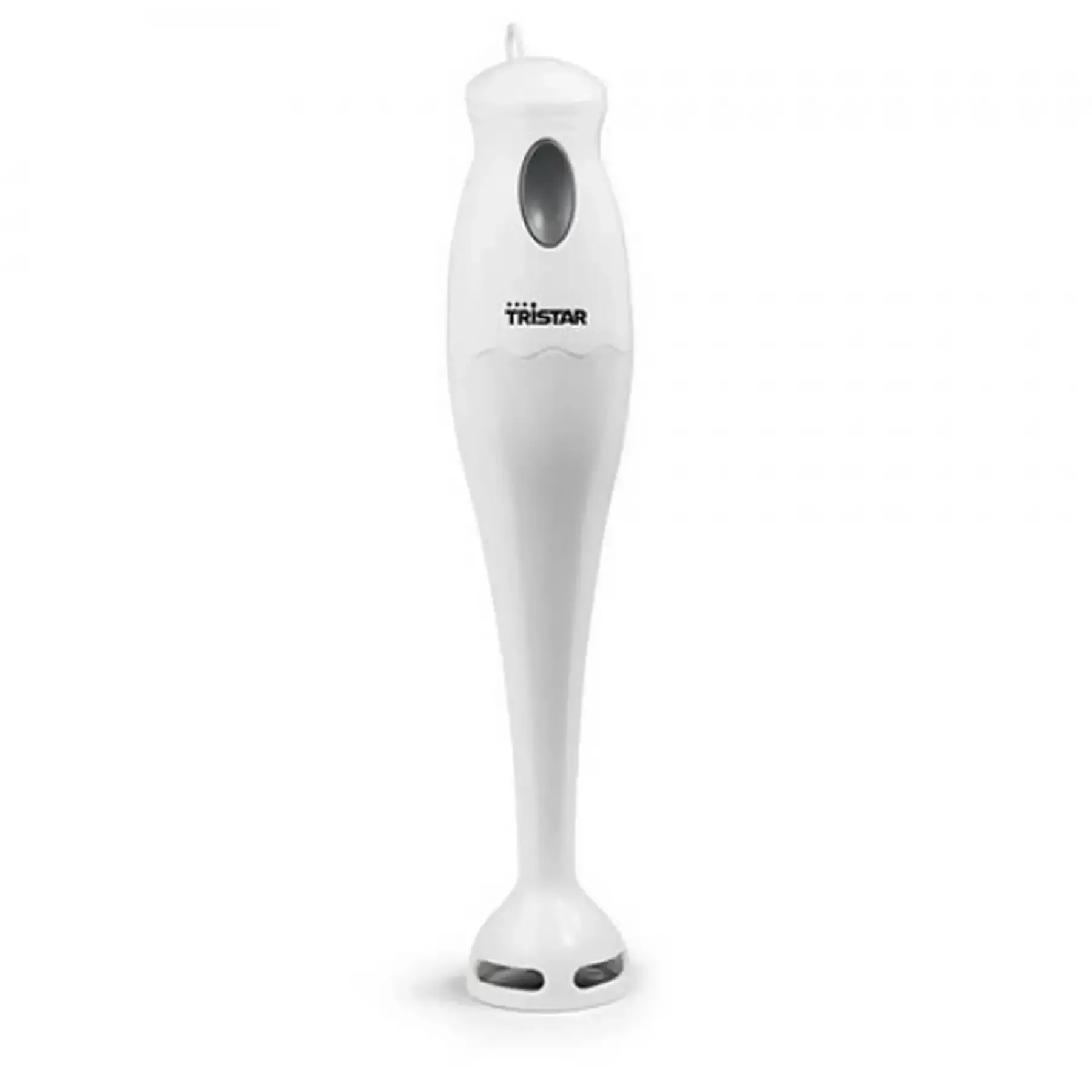 Mixeur plongeant 170W