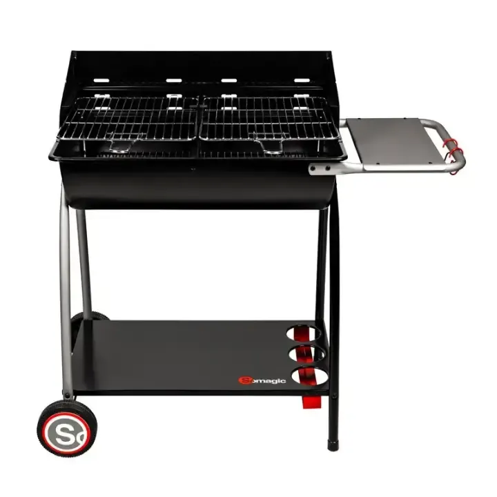 Barbecue à charbon master