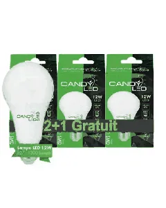 Lot de 2 ampoules LED 12W e27 blanc