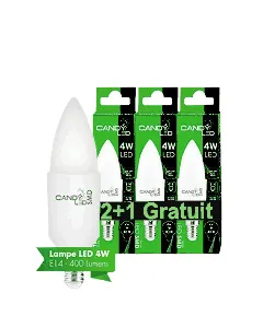 Lot de 2 ampoules LED 4W e14 neutre