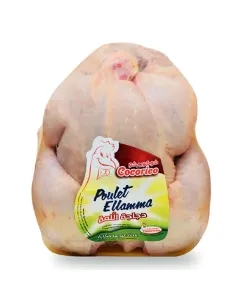 Poulet