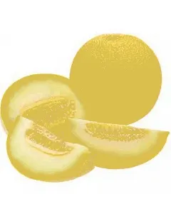 Melon galia