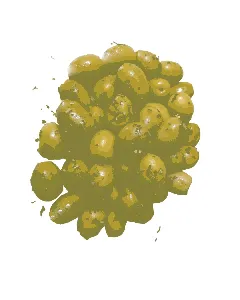 Olives à la provençale