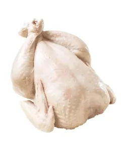 Poulet