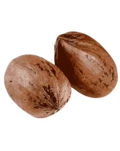 Noix de Pecan en coque