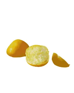 Citron salé