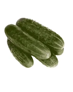 Cornichon