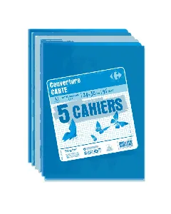 Lot de 5 Cahiers 24x32cm petits carreaux - 96 pages