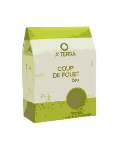 Tisane coup de fouet bio