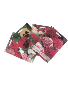 Lot de 4 sachets de semences de fleurs