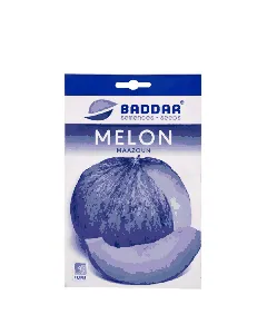 Semence de melon Maazoun