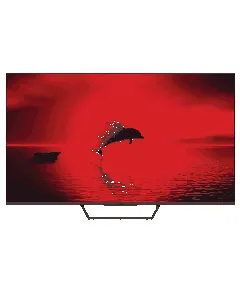 Téléviseur 65"