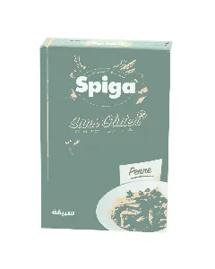 Pâtes Penne SPIGA sans gluten 