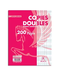 Double feuille 200 pages