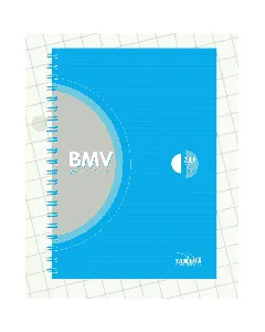 Cahier wiro couverture plastique 21x29.7cm 80g BMV