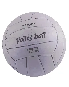 Ballon de volley-ball