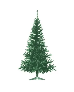 Sapin moucheté 2m10