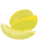 Melon jaune canarie